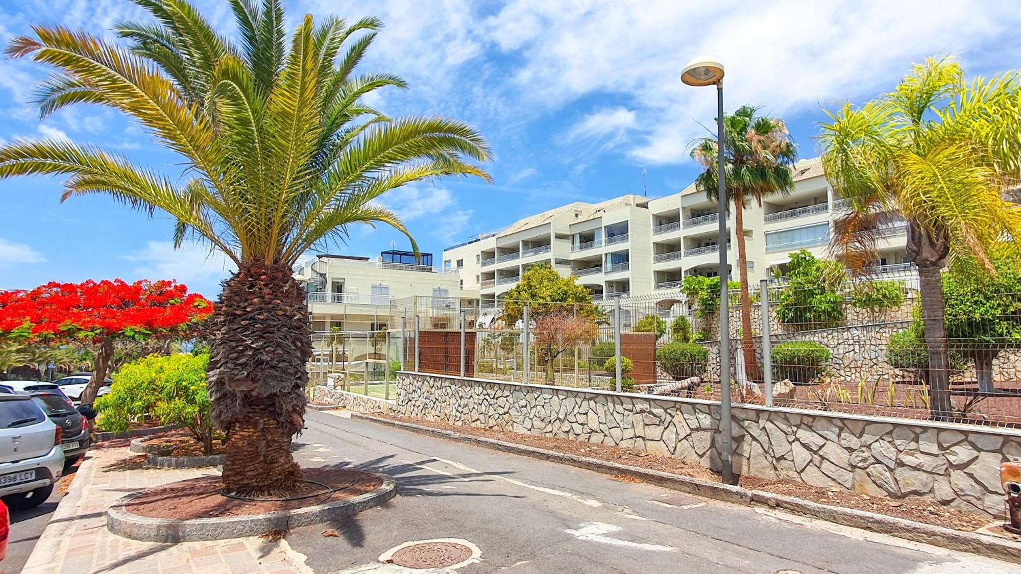 Terraza Sea & Sun Lägenhet Palm-mar Exteriör bild