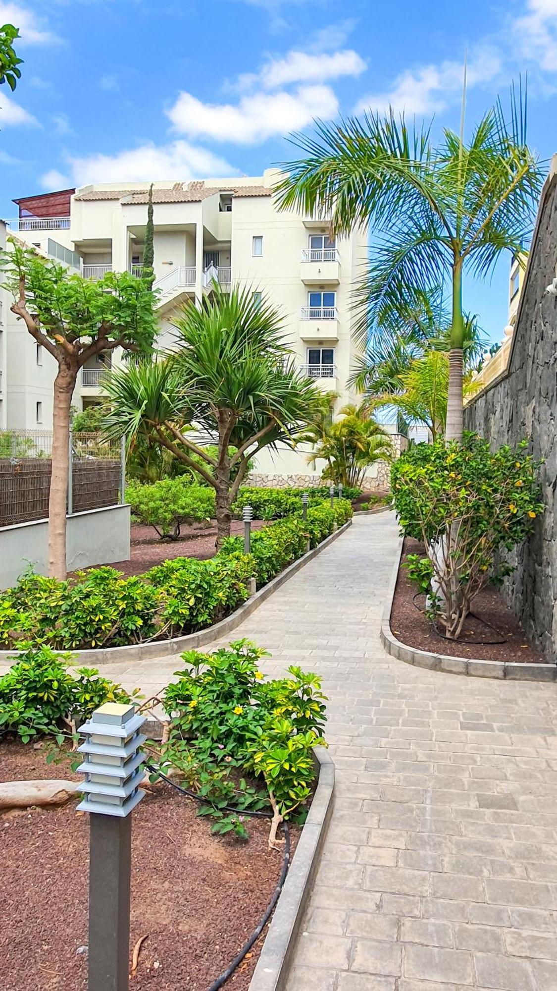 Terraza Sea & Sun Lägenhet Palm-mar Exteriör bild